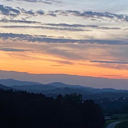 Willa Fh Ausblick Waldkirchen Zewnętrze zdjęcie